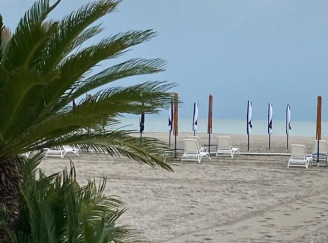 Lira * Mamaia