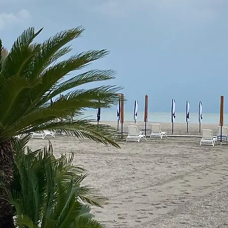 Lira * Mamaia